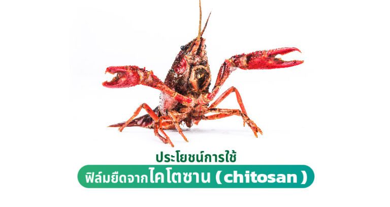 ประโยชน์การใช้ฟิล์มยืดจากไคโตซาน (Chitosan)